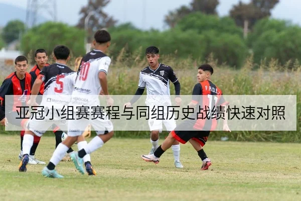 亚冠小组赛赛程与同组历史战绩快速对照